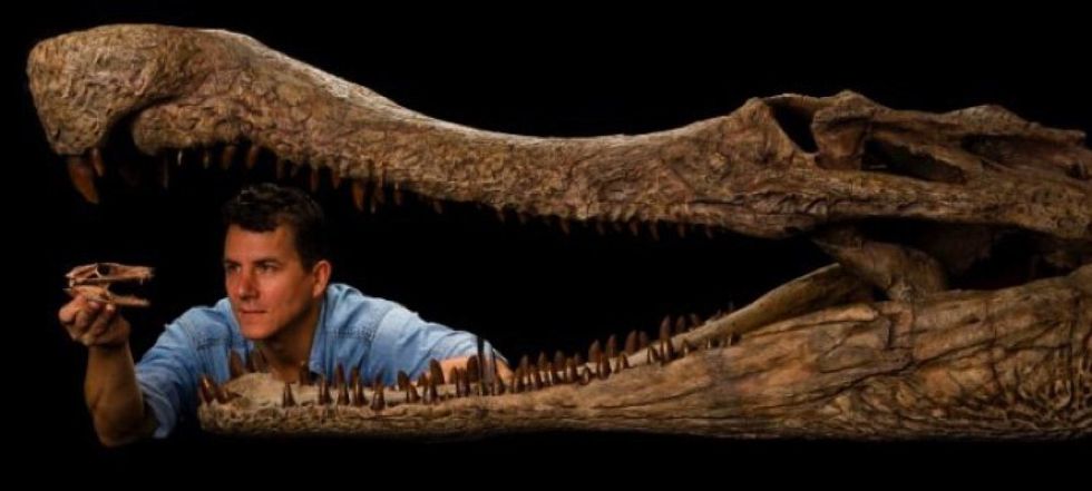 Динозавров сожрали разаны и суперкрокодилы